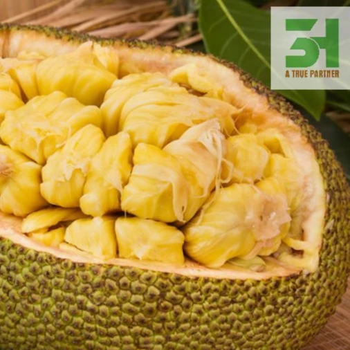 Ready To Ship Fresh Jack Fruit Good Price Natural VietNam High Quality From 3H Vietnam (Ms. Nancy - +84981859069)