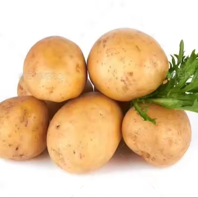 Fresh quality potatoes Buy Online Potato From / Import Premium Quality Fresh Potatoes wholesale at best price
