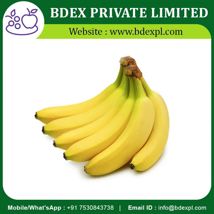 High Quality Fresh And Sweet Banana For Wholesale Supplier