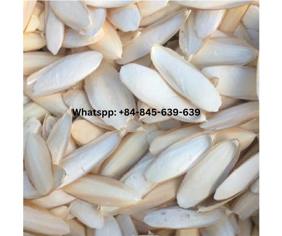 Natural Cuttlefish Bone Essential Calcium for Birds and Reptiles/ Premium-grade cuttlefish bone for calcium supplementation.