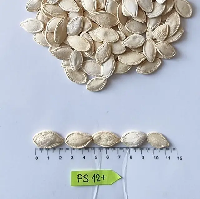 Семена тыквы блестящие, оптовая продажа, хорошее качество по заводской цене, семена тыквы, продажа высококачественной упаковки для закусок