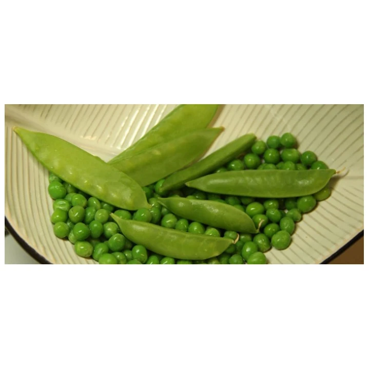 Premium Quality Food Grade Dried Green Peas in Low Price Canned Green Peas / Sweet Peas with High Quality