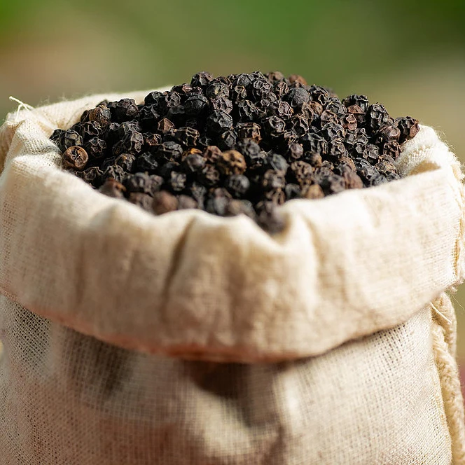 Заводская цена Высококачественная машина для очистки вьетнамского черного перца 500GL 550GL 570GL