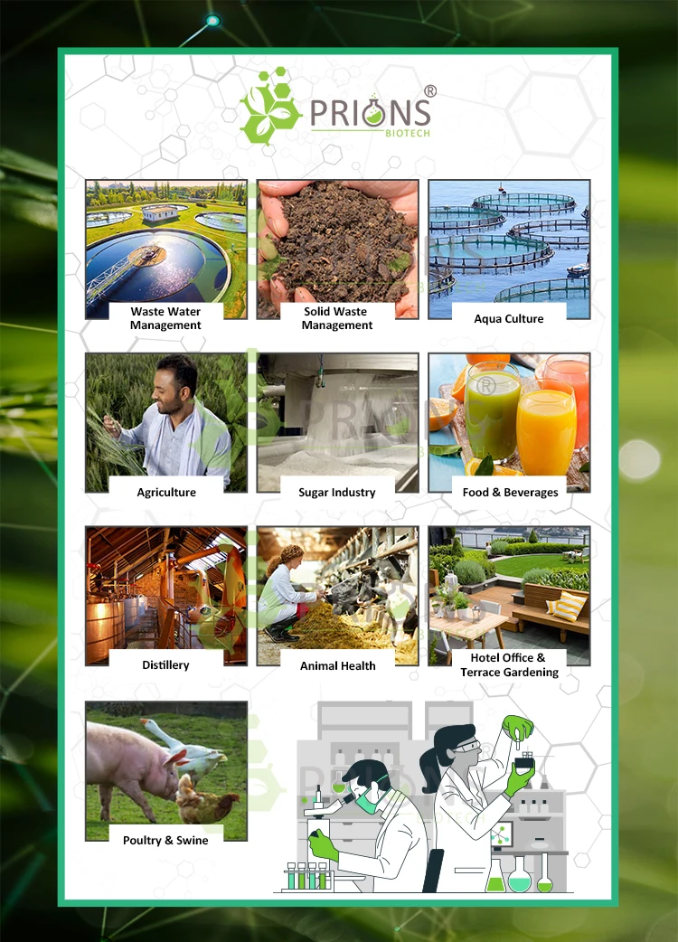 100% Efficacy Immediate Release Type Aquaculture Probiotics Gut Booster - PR for Agriculture Crops