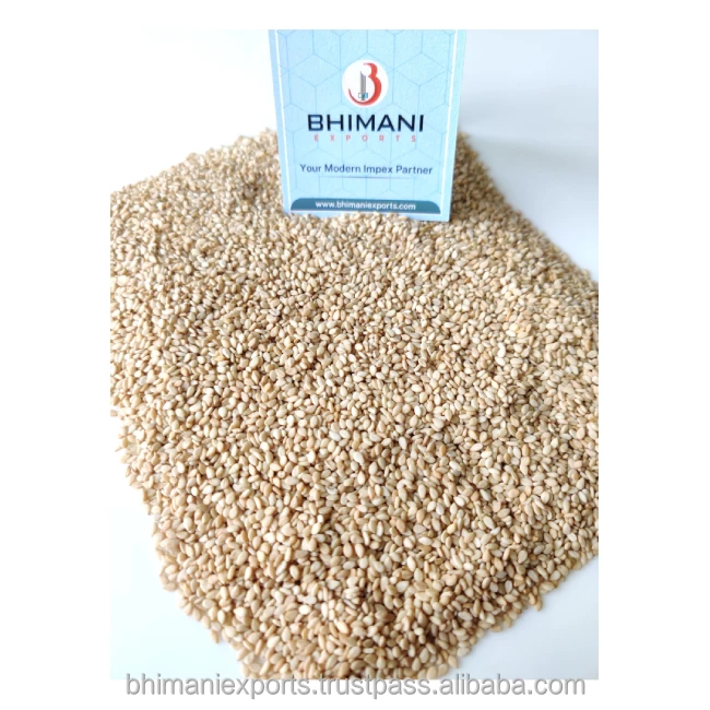 Premium and Best Quality White Sesame Seeds Wholesale for Human Consumption and Industrial Use