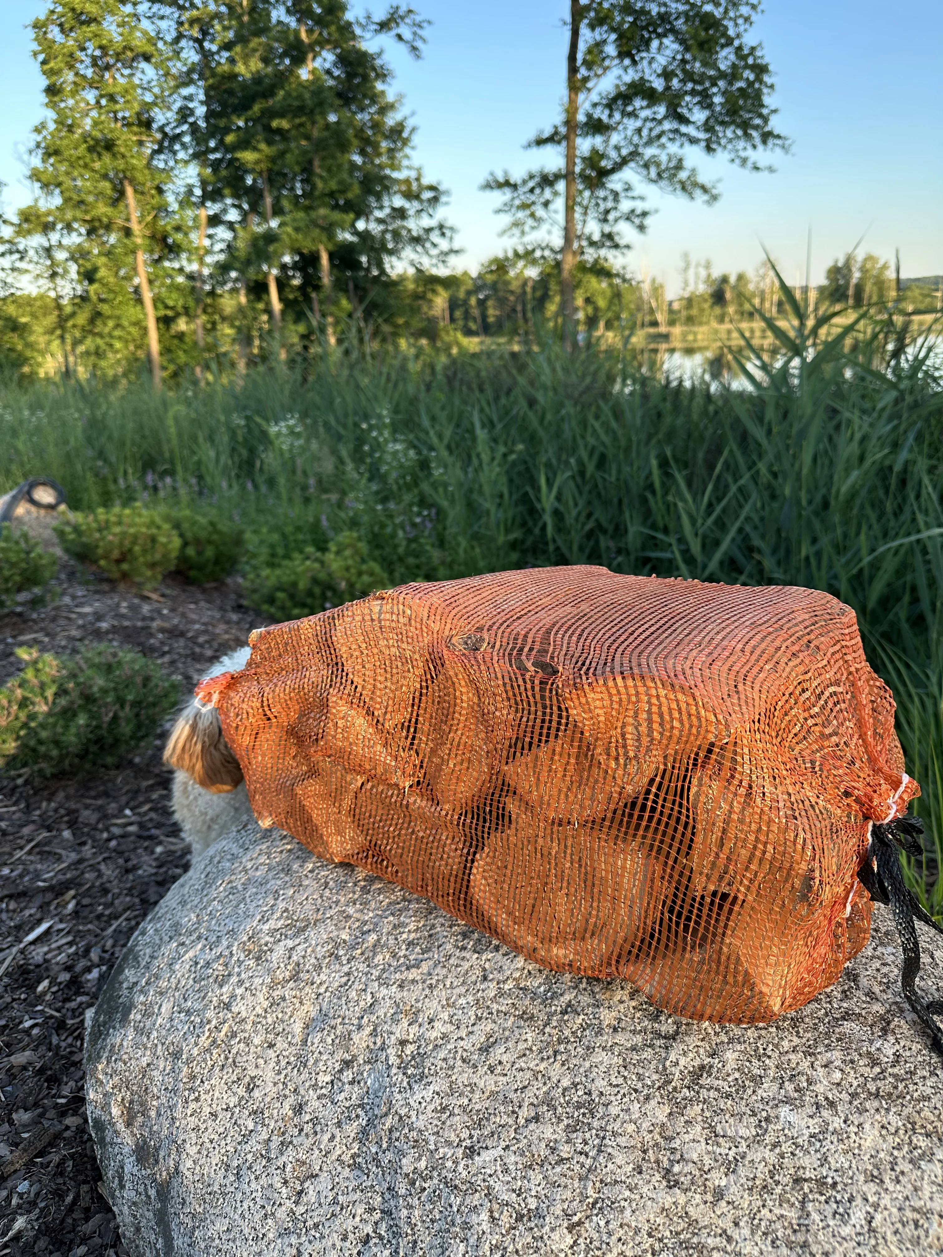 Wholesale Supplier of Alder, Birch, Oak, Hornbeam, Ash, Beech Kiln Dried Firewood in 22L Mesh Bags | Bulk Quantity for Sale