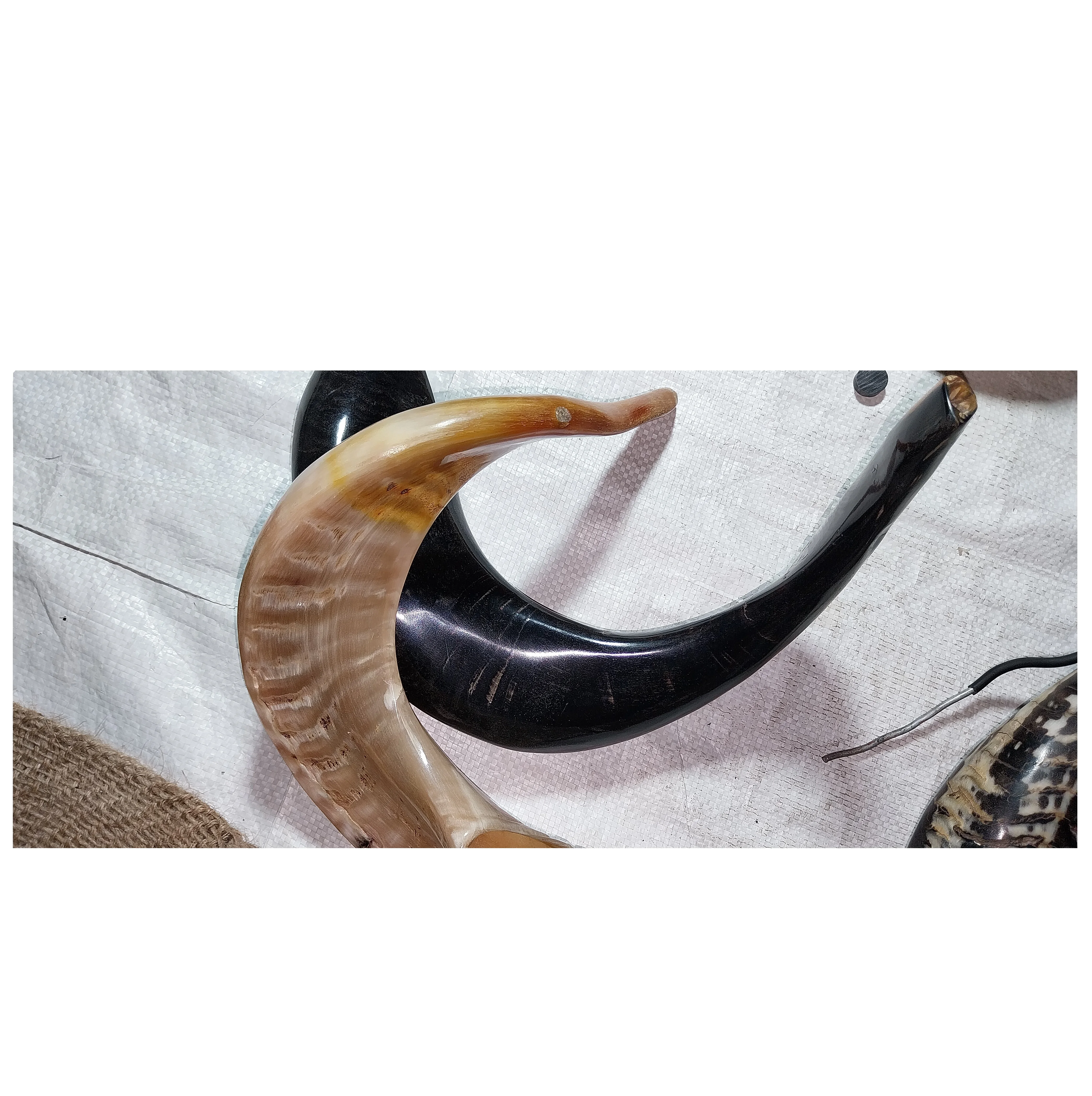 Шофар/Kudu/Ram Horn/полированный Shofar
