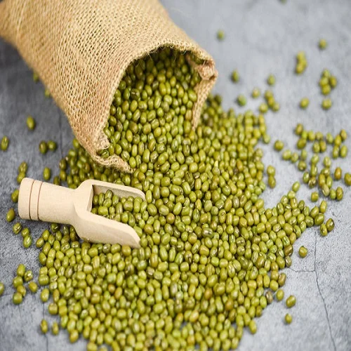 New Crop Cheap Price Green Mung Beans