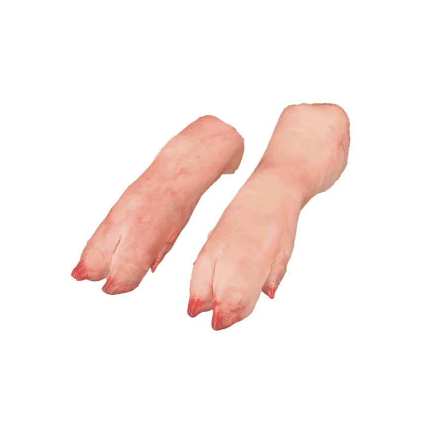 Nutritious 24 Months Top Roast Poultry Products Sale Frozen Meat Pork Front Feet Supplier From Brazil