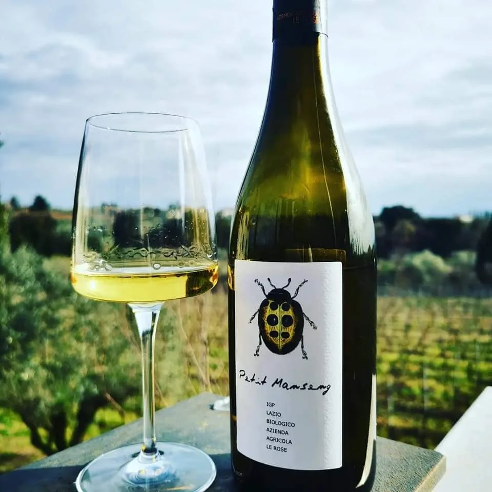 Итальянский биодинамический белое вино Malvasia 75 Cl - Artemisia для апертика и Дина