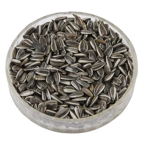Premium Factory Supplier Wholesale Sunflower Seed 361 Sunflower Seeds Fresh Sunflower Seeds