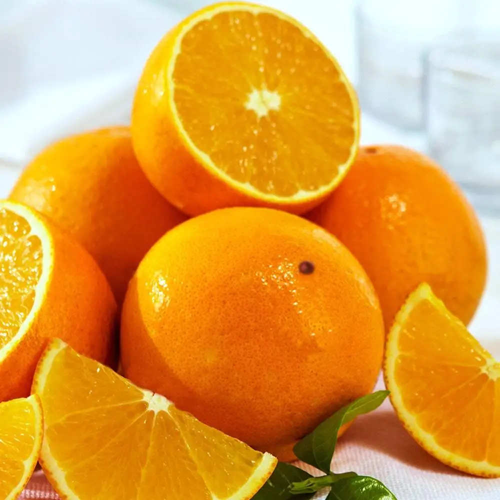 Fresh Navel Valencia oranges , Citrus from Egypt