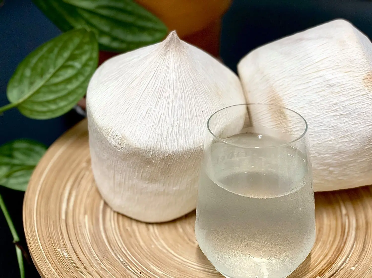 Fresh young coconut from Thailand Season: All year round | Flavor: Sweet and refreshing PREMIUM A GRADE