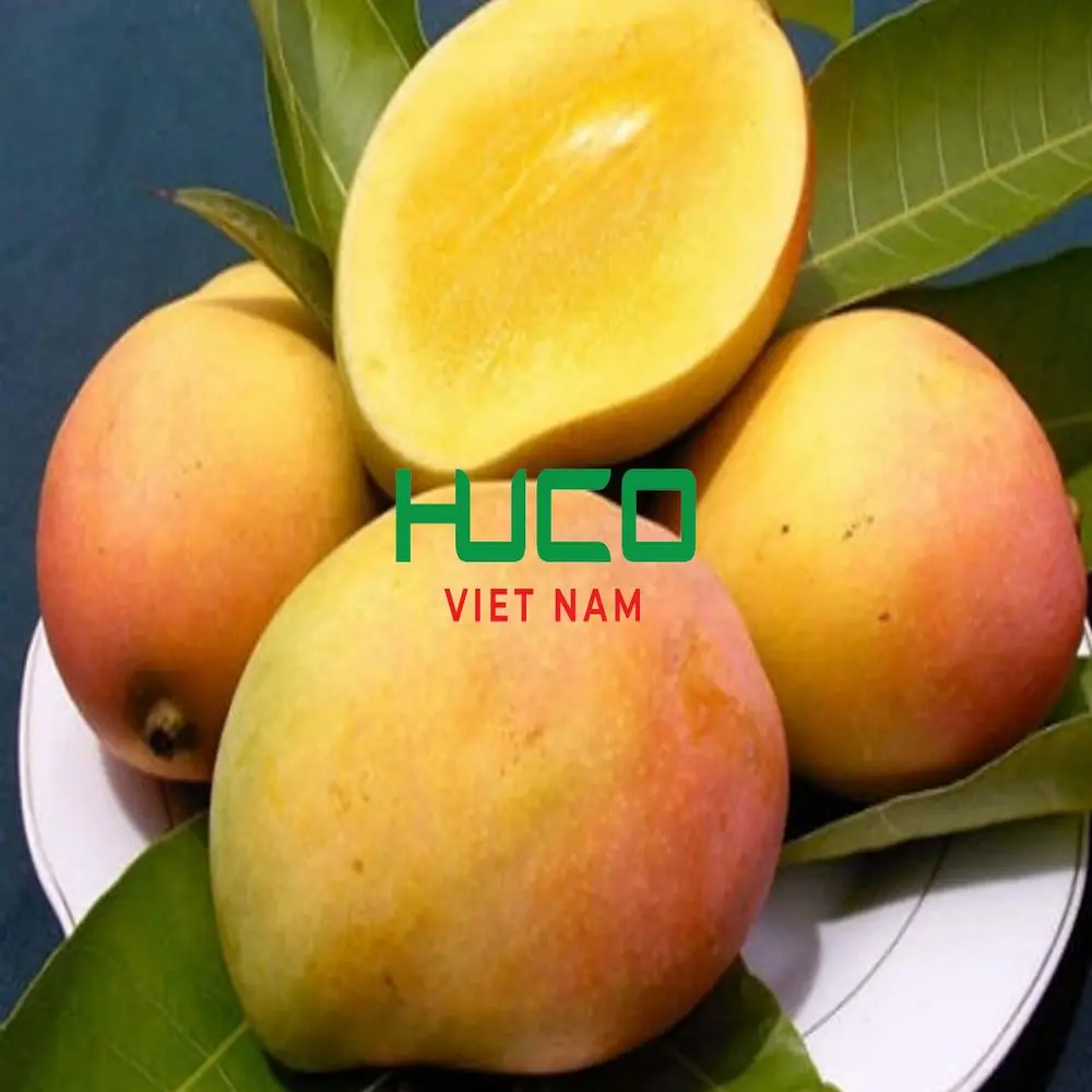 Fresh Mango 100% Organic Premium Grade Negotiate Price