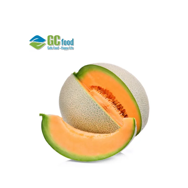 Wholesale Fresh melons -  Cantaloupe  melon seeds  with best quality with LC/TT payment