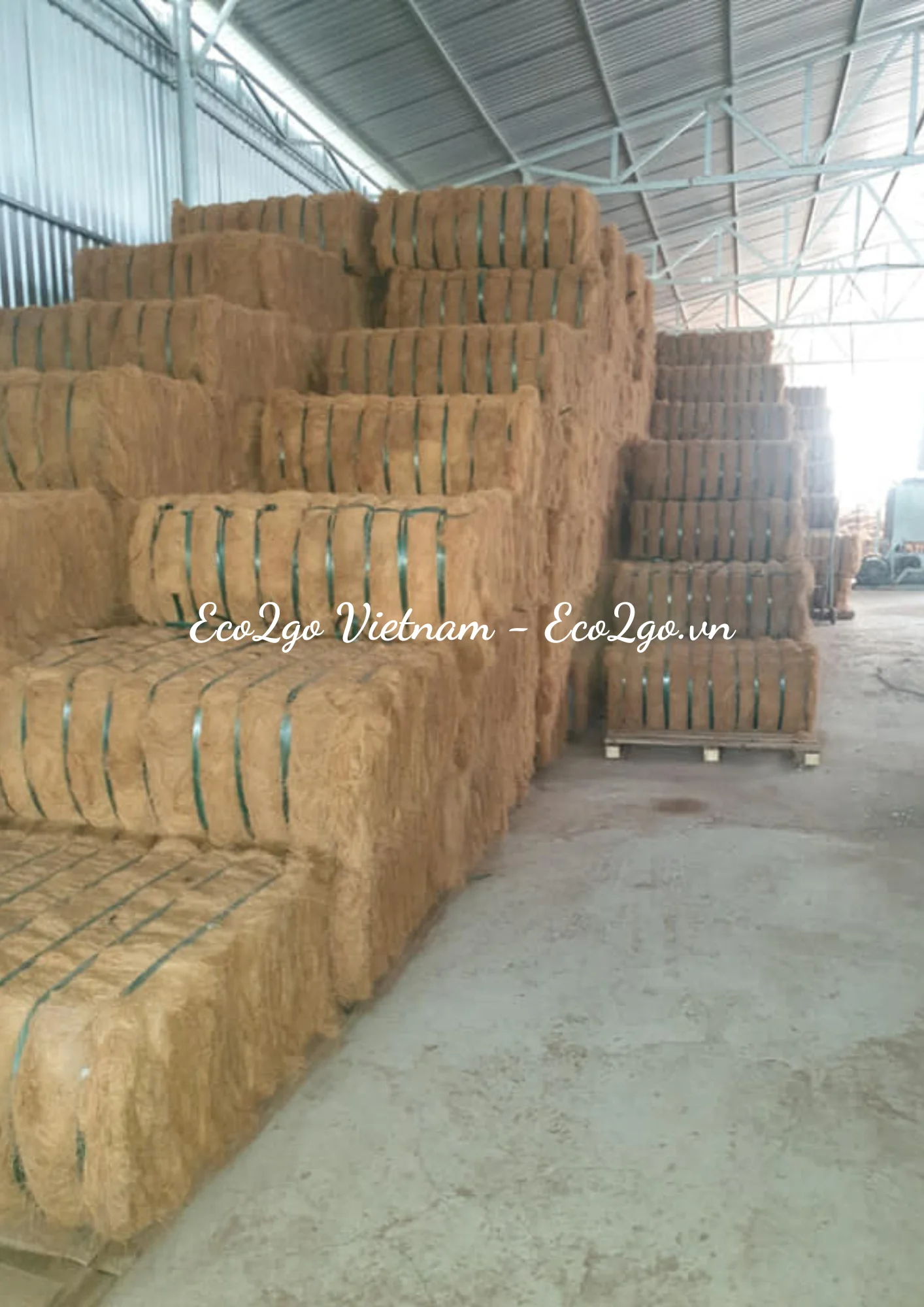 Eco2go Vietnam (21).png