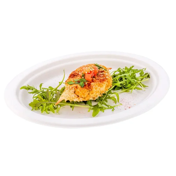Customized Eco friendly Disposable Compostable Biodegradable 10.5 inch Sugarcane Bagasse Plates for Dinner