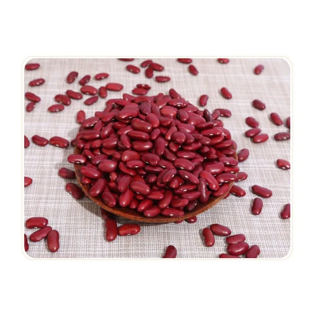 Export Red Kidney Beans Light Speckled High Quality Red Kidney Beans Cheap Price