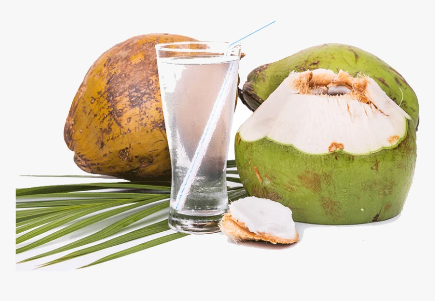 coconut.png