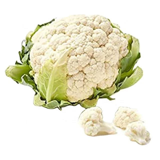 Fresh Cauliflower Cheap Price USA Fresh Vegetables New Crop Fresh White Cauliflowers Wholesale Export Directly Factory