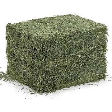 Cheapest Alfalfa Hay and Timothy Hay Bulk Supply | Premium quality Alfalfa and Timothy Hay Bulk Sales