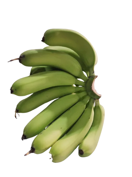 New Crop Best Selling Manufacturer Sweet Taste Fresh Natural Vietnam Banana Highly Nutrition Grade A789 Cavendish Banana