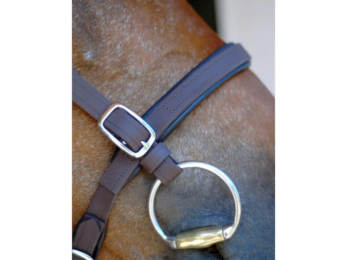 PVC Vegan Leather BioThane Bridle for Horse Stable Riding Equestrian Dressage with Brow Band Noseband and Nylon Rope Headstall