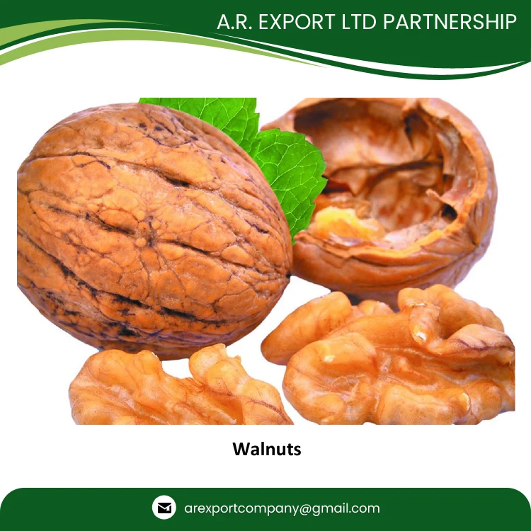Factory Price Wholesale Traders Supply Top Quality Fresh and Natural Kernels Walnuts in Shell Dry Fruit for Wholesale Buyers