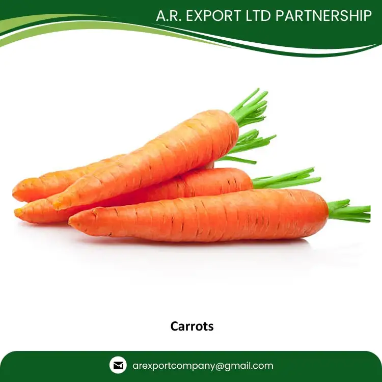 Genuine Quality Wholesale Selling Common Cultivation Type 100% Natural & Fresh Red Carrots at Low Market Price