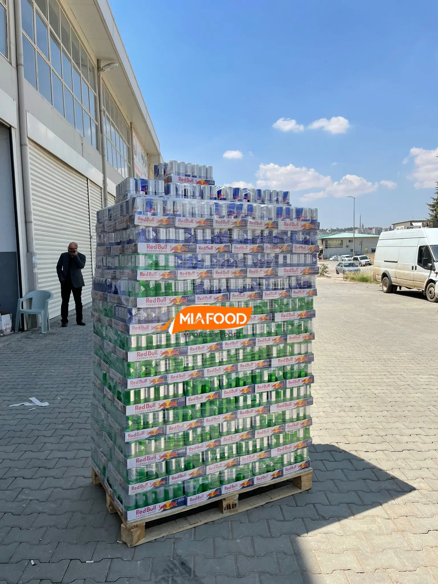 Redbull Original Drinks Coconut and Acai Fruits Flavor 24 * 250ml From Turkey Origin Austria MiaFood