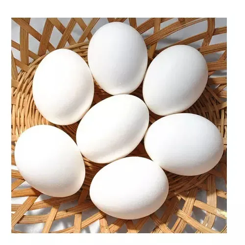 Лучшее качество, оптовая продажа оплодотворенных куриных яиц, 500 бройлеров, куриных яиц, свежих 700, плодородных яиц