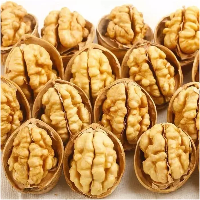Wholesale Healthy Delicious 100% Organic Best Quality Export Walnut Best Price Raw Dry Fruits Washed Walnuts