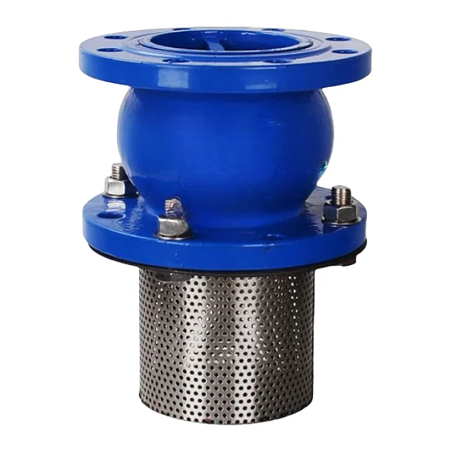 Factory price PN16 Foot Check Valve with Strainer DN50-DN150 Flange Foot Check Valve