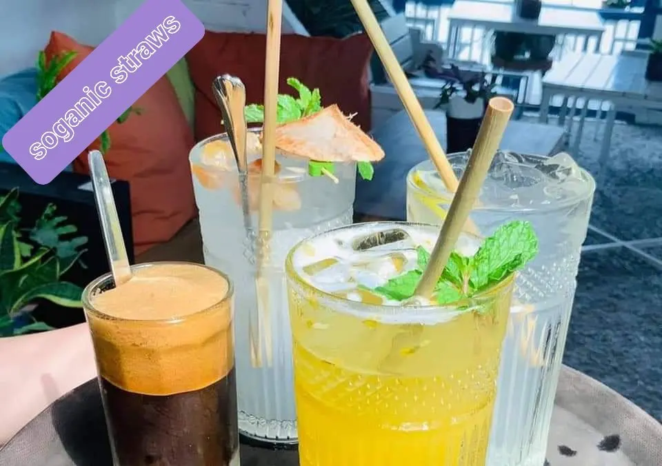 DRIED GRASS STRAWS Eco friendly Grass Straws Pasta Drinking Biodegradable Disposable Straws