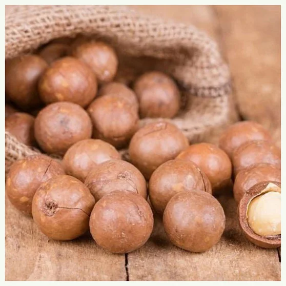 Орехи макадамии оптом 10 кг орехи высококачественные для оптовой поставки с завода