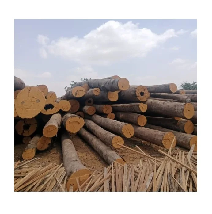 Бревна Meranti-свежая огранка и окорка для изготовления мебели