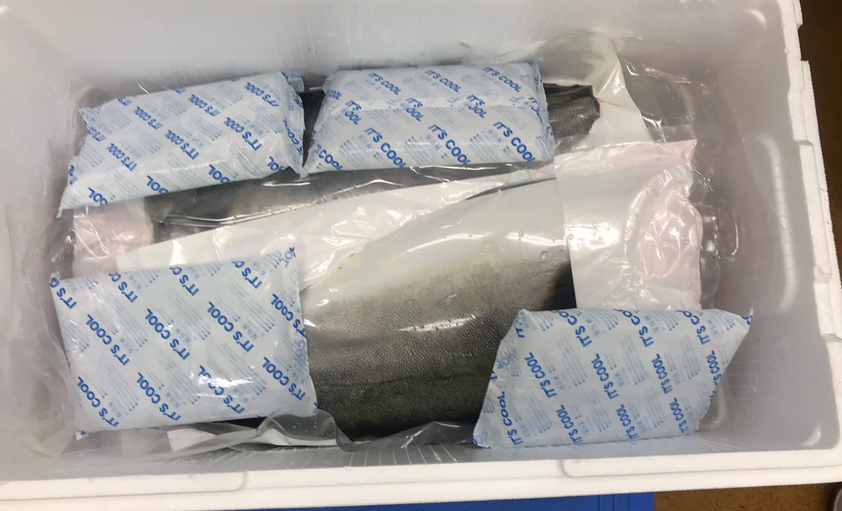 Frozen Japanese Food Seafood Yellow Tail Fillet Stock Fish Dishes Production Line Frozen Yellowtail Fish