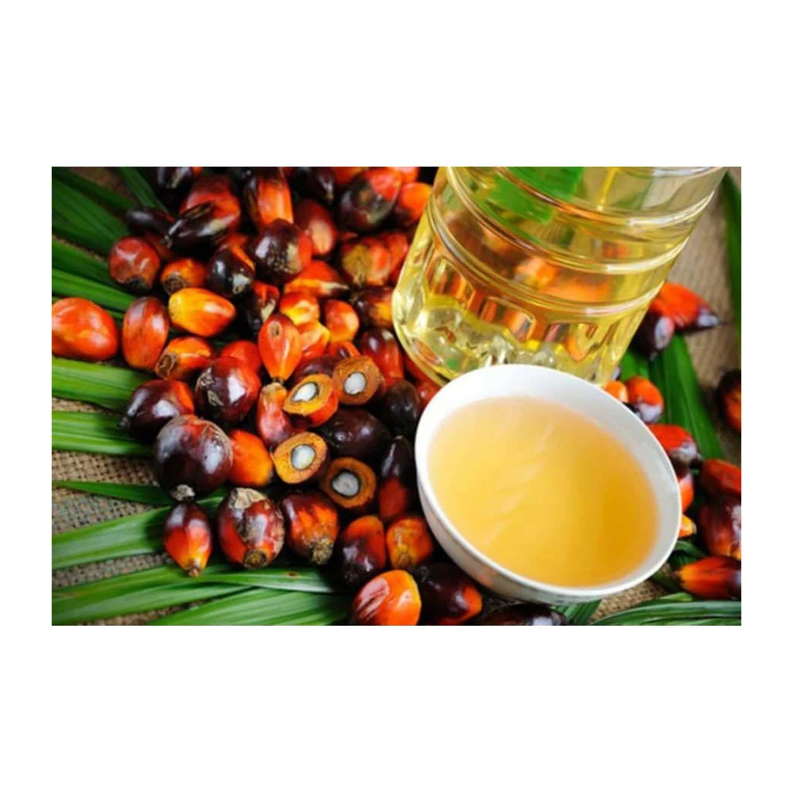 Premium Cooking Oil Supplier Palm Oil  PALM Top Quality & Best Price Direct Factory Manufacturer