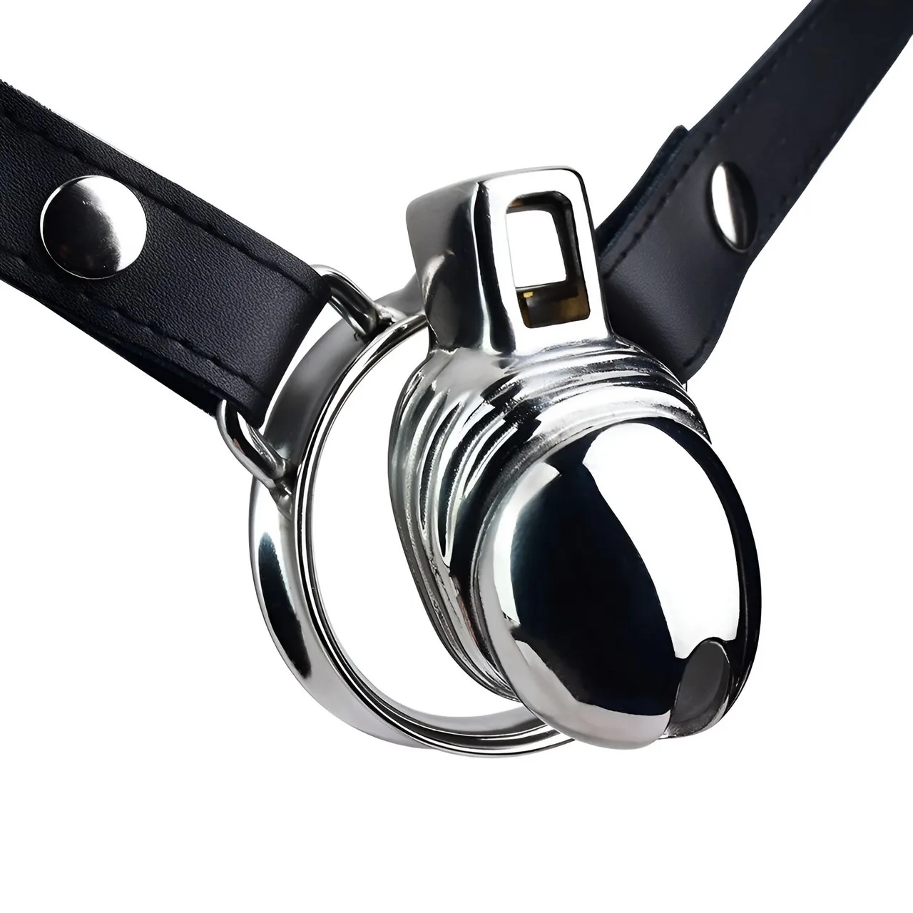 FRRK Metal Chastity Cage Device for Man Realistic Dildo Design Cock Lock Penis Rings Sex Toys Stainless Steel BDSM Sexual Shop