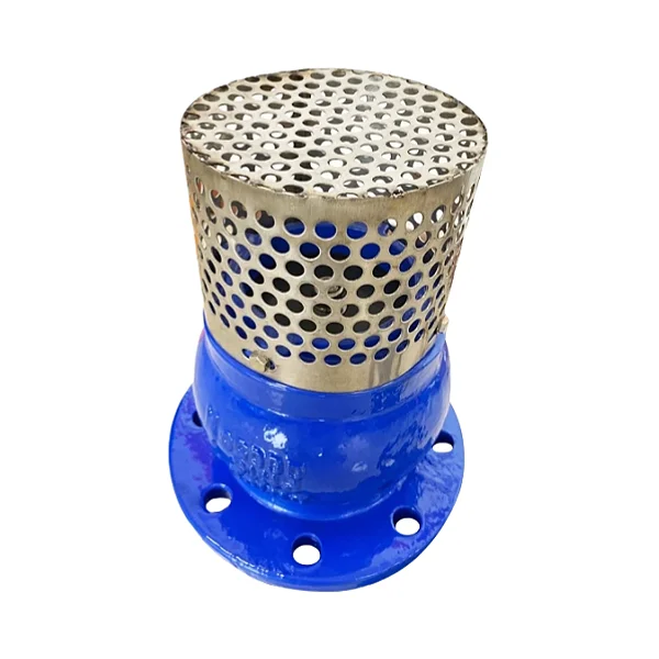 Factory price PN16 Foot Check Valve with Strainer DN50-DN150 Flange Foot Check Valve