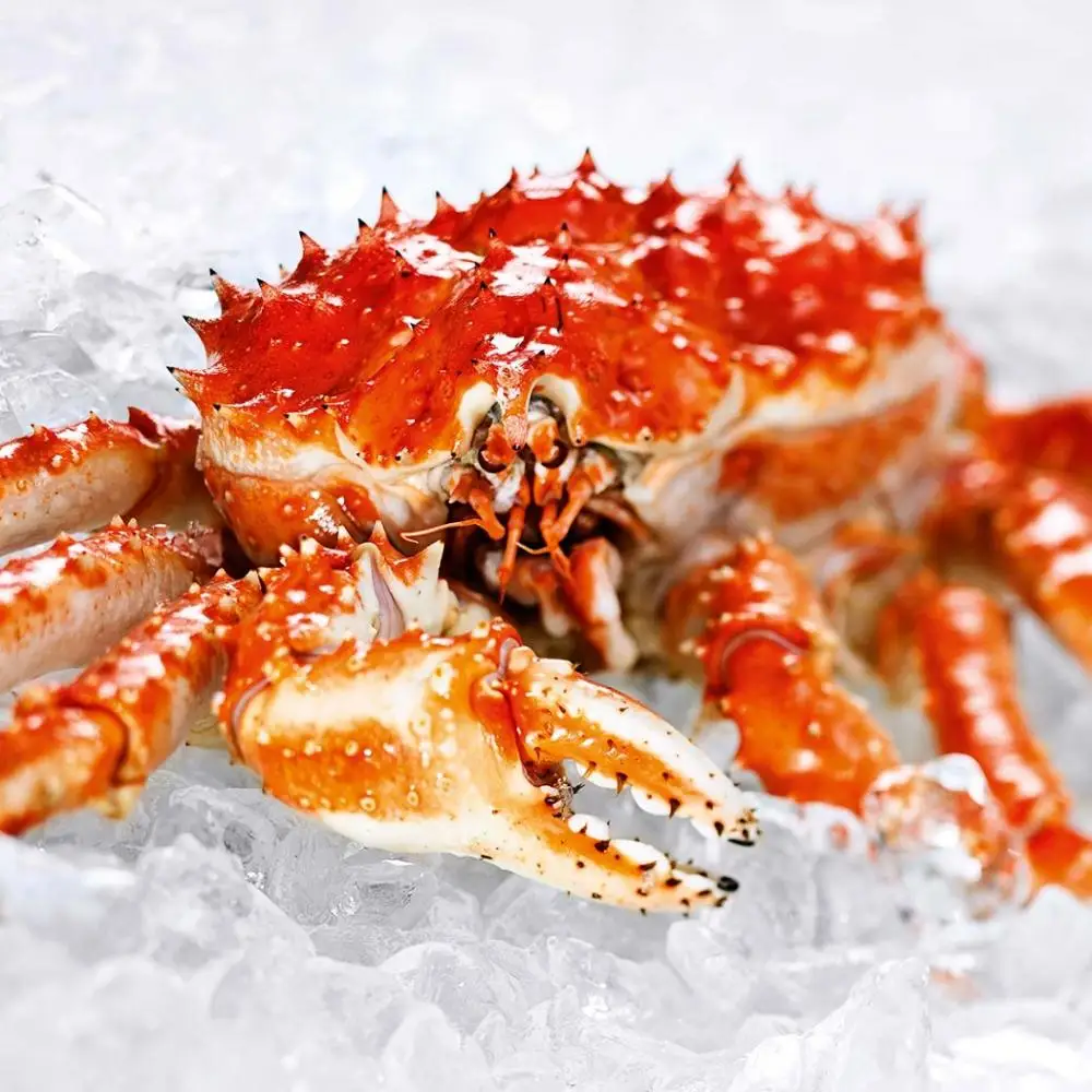 Crabs,Blue Crabs,King Crabs /Live Seafood