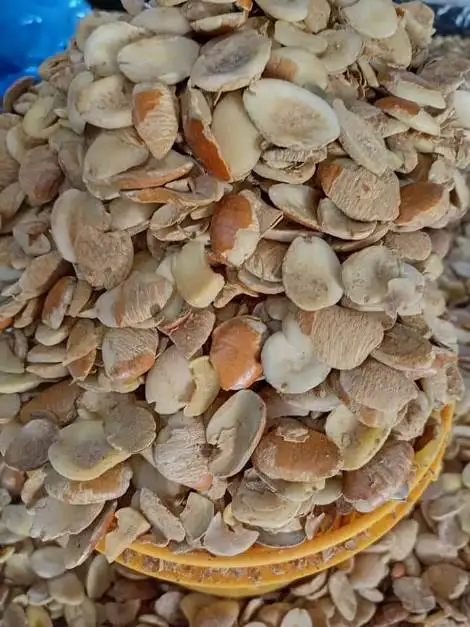 Ogbono forsale OEM factory price maximum supply ability