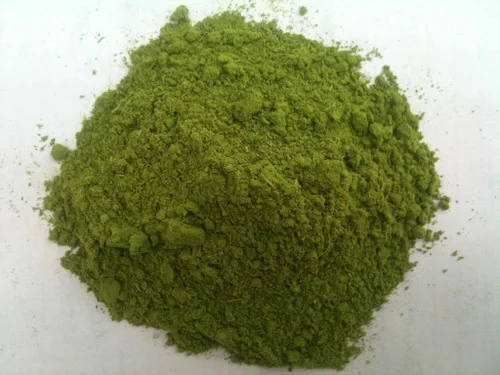 Export Quality Wholesale 100% Natural Moringa 2024 Powder Private Label Best Natural Organic Price Bulk Leaf Moringa Powder
