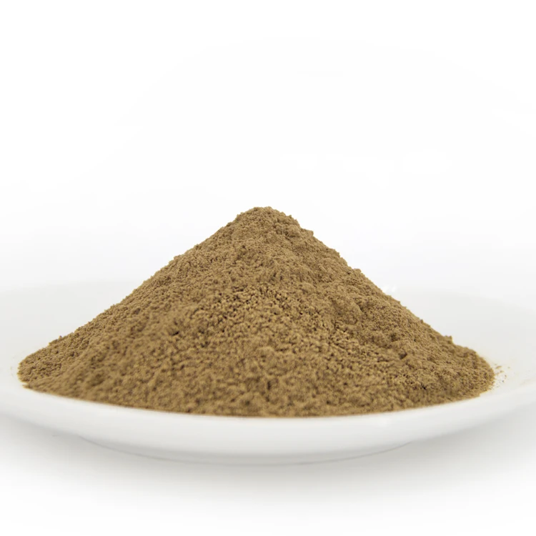 Wholesale Price Grade Ginkgo Biloba Leaf Extract Organic Ginkgo Biloba Extract Powder Gingko Extract