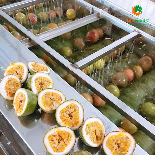 Type maturity storage standard competitive good products fresh fruit Fresh Passion Fruit Lifefoods from Vietnam