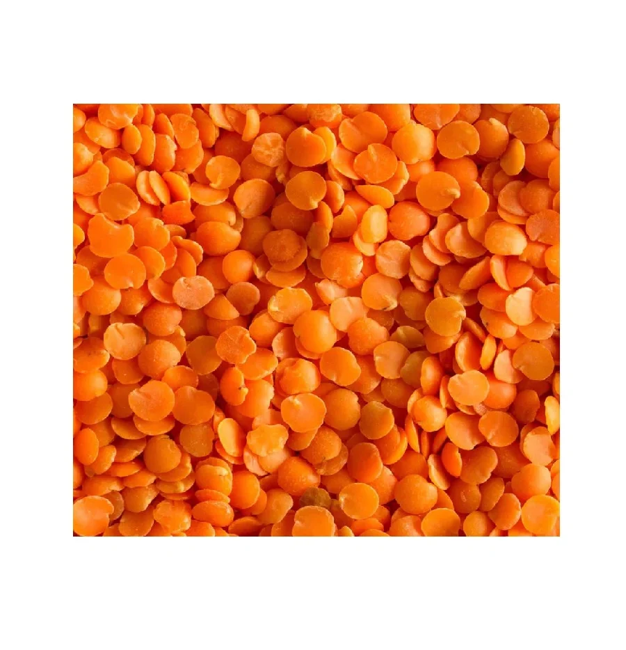 Affordable High quality red lentils red lentils price red lentils for sale