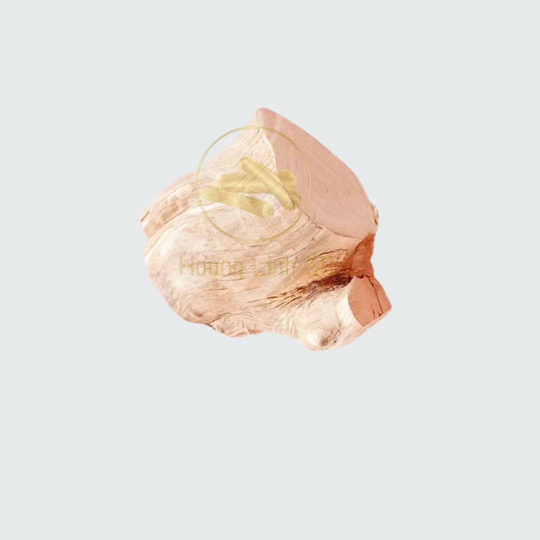 Wholesale Natural Root Coffee Wood Dog Chew Sticks Coffee Tree Wood Chewing Toys from Vietnam HOANG LINH SG Kimy +84938616690