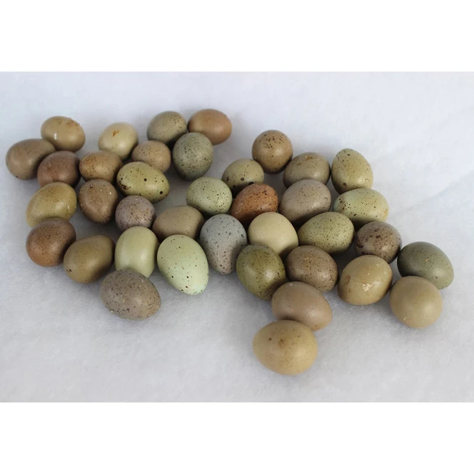 Top Grade Fresh Quail Eggs Table Eggs in Cartons and Trays Yolk Style Cooked for Food Use Wholesale Price