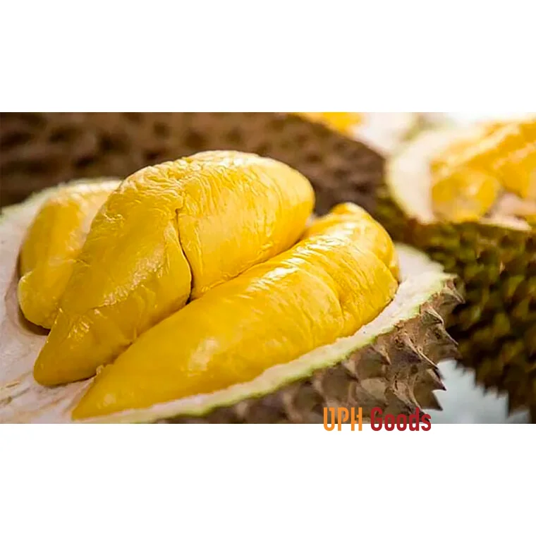 Vinamit Durian Freeze Drying 60g Without Seeds Dona and 6 Ri frozen fruit durian on sale Vietnam Producing Monthong