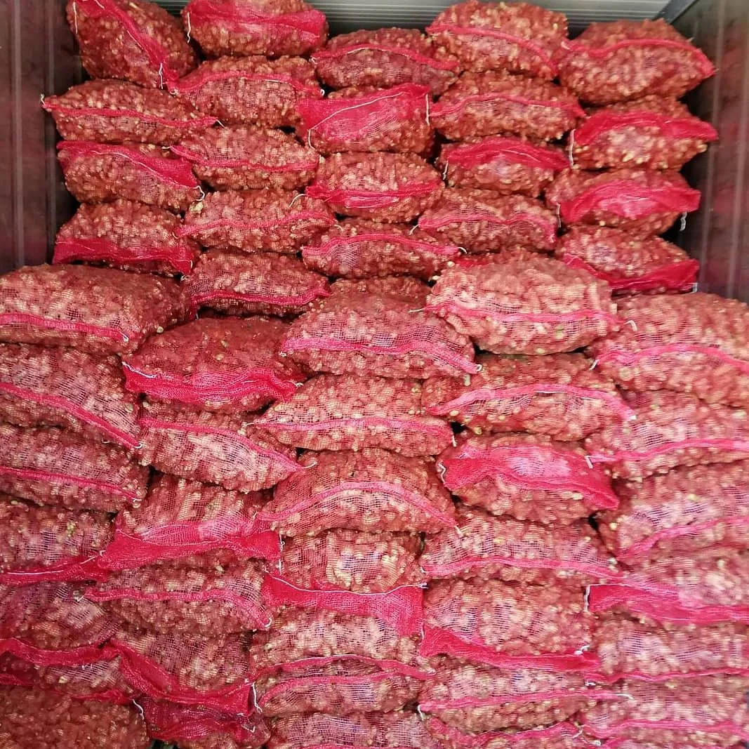 Fresh Red Onion Turkey 50mm size fresh red Turkish onions